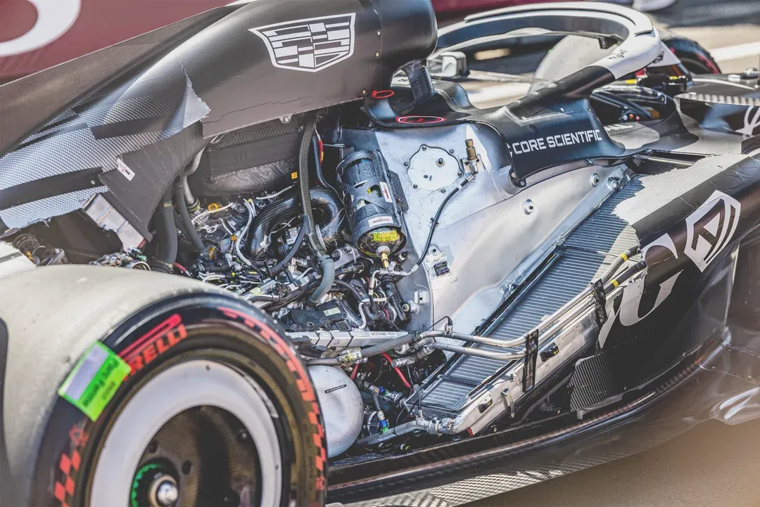 Εμένα ρωτάς, εγώ σε λέω (Σανγκάη – Κίνα)